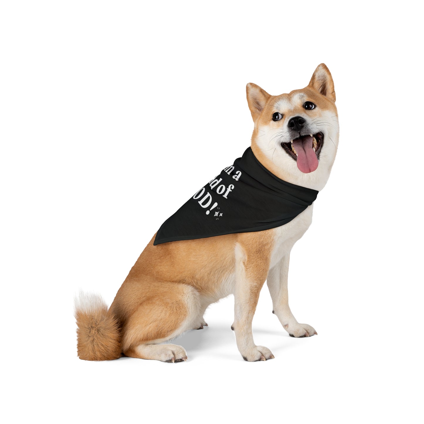 Pet Bandana - I am a Child of God Family Matching
