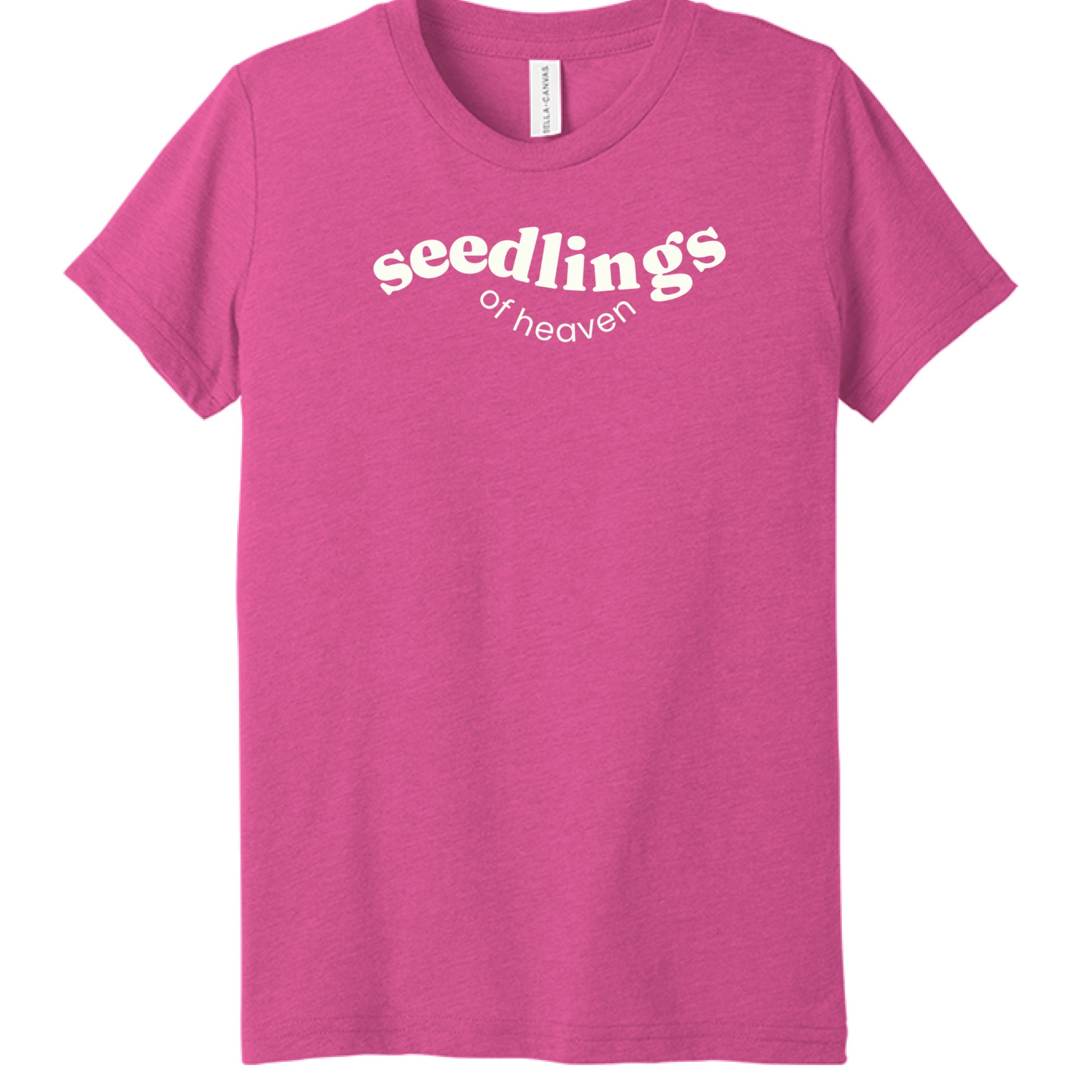 Charity Pink Triblend - FRONT