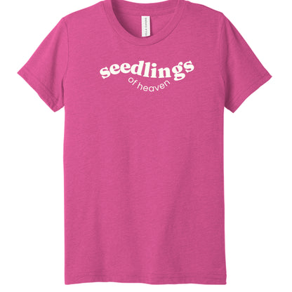 Charity Pink Triblend - FRONT